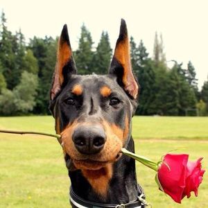 Meet your Posher, Bettina